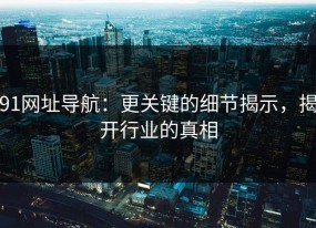 91网址导航：更关键的细节揭示，揭开行业的真相