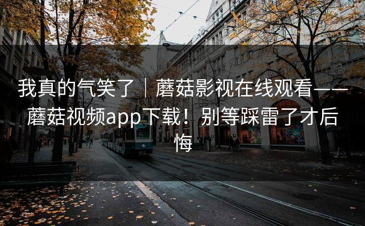 我真的气笑了｜蘑菇影视在线观看——蘑菇视频app下载！别等踩雷了才后悔